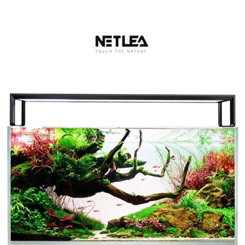 Wifi Led Dimmer - Netlea AT5S V4 Smart Wifi APP