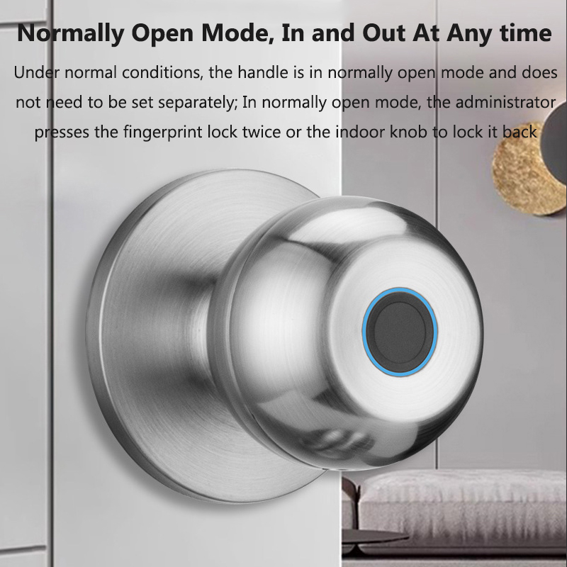 Tuya Door Lock Smart Fingerpri - Smart Home Door Lock ulasan dan harga